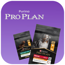 PRO PLAN