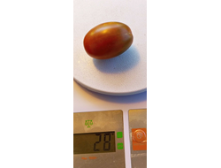 Томат Шоколадка