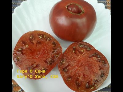 Томат Гари о Сена (Gary'O Sena)