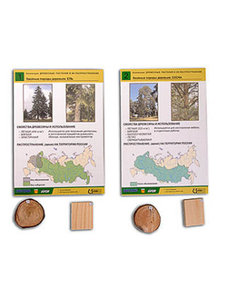 Коллекция "Древесные растения и их распространение" (демонстрационная)