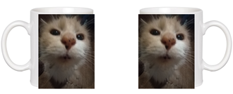 Кружка белая “Котик”