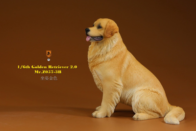 Золотистый ретривер (сидящий) - Коллекционная ФИГУРКА 1/6 scale Animal Model Golden Retriever 2.0 (MRZ057-3B) - Mr.Z