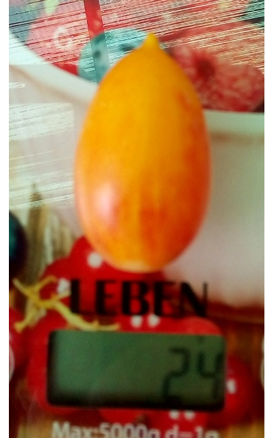 Томат Розовый тигр (Artisan pink tigr)