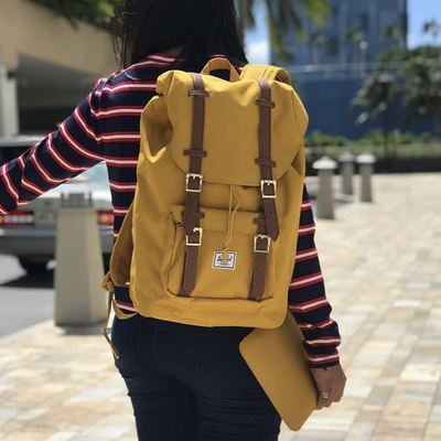 Herschel little america arrowwood store