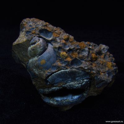 Барит на псиломелане в полости ракушки. 59*59*42мм