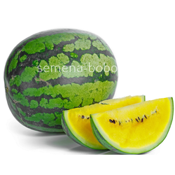 Арбуз Майбах F1, 5 шт