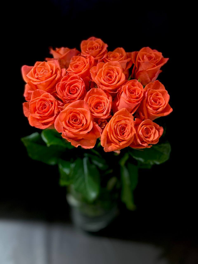 Роза  Россия 50 см. 15 шт