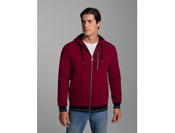Бордовая толстовка мужская 52TM-1273