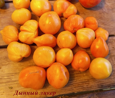 Томат Дынный ликер