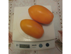 Томат Стаканы оранжевые минусинские