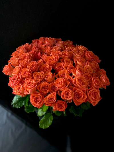 Роза  Россия сорт Вау 50 см. 101 шт.