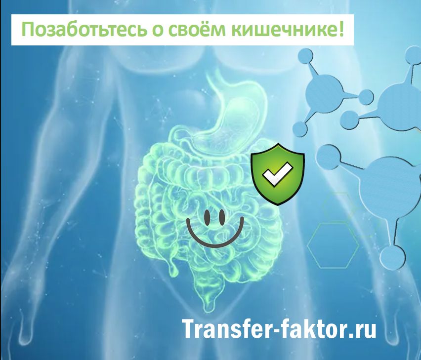 Пре/о Биотики&trade; Digest4Life с Трансфер фактором - тройная польза для вашей микрофлоры