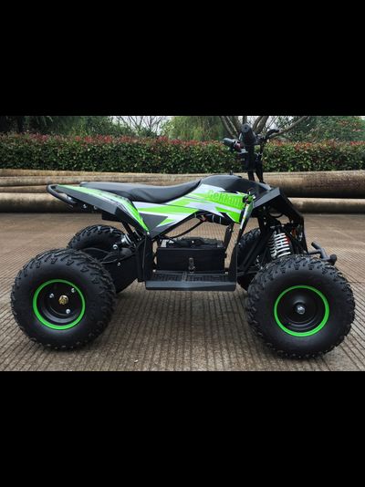 Детский квадроцикл Motax GEKKON 1300W