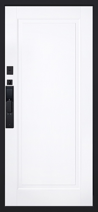 Стальная дверь   Plata (биометрический замок  Smart lock DZ 888)