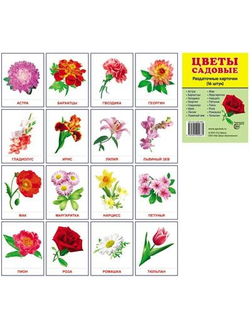 Демонстрационные карточки "Цветы садовые"(63х87 мм)