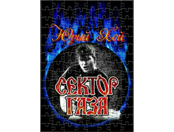 Пазл Сектор Газа, Юрий Хой №17