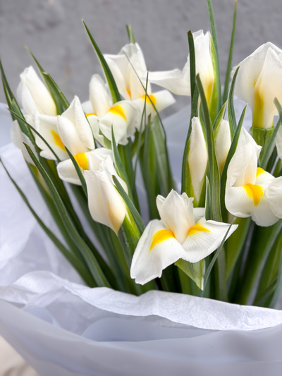 Букет белых ирисов