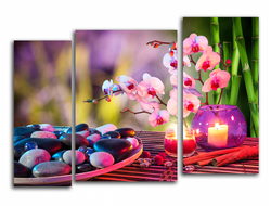 Модульная картина "Вечер релакса. Орхидея"