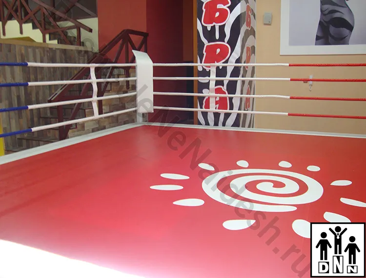 Боксерский ринг на помосте Зебра