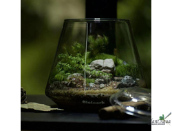 Чаша Пузырь Biolark Two (120мм х 105мм)