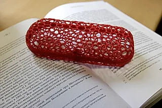 Футляр для очков с магнитной защелкой. Поверхность создана с помощью алгоритма Г.Ф. Вороного.