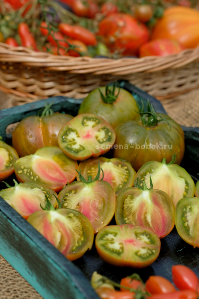 Томат Ярсон 5 Триколор (Jarson 5), 10 шт