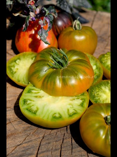 Томат Ярсон 20 (Jarson 20), 10 шт