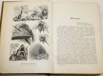 Верман Карл. История искусства всех времен и народов. Том 1. СПб.: Книгоиздательское Товарищество `Просвещение`, б.г.
