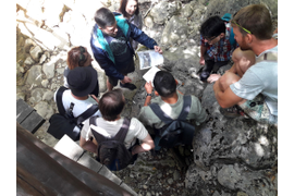 квест на приоде Большой каньон