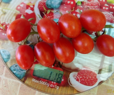 Томат Суинг Тинг Грейп (Swing Ting Grape)