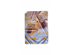 Покрывало Капибара, Kapibara-san №4