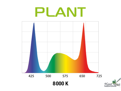 Cветильник AQUAEL LEDDY SLIM 2.0 10W PLANT 50-70 см 8000K
