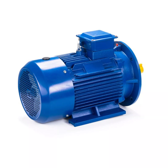 Электродвигатель АИС 100LB2 (4 кВт) IM B35