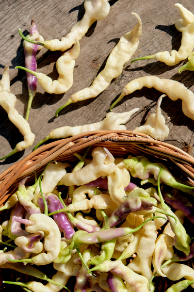 Перец острый Aji Confusion (Ахи Конфуз), 10 шт