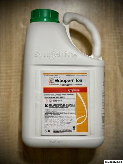 Эфория Топ, МКС (от 50мл до 5л)