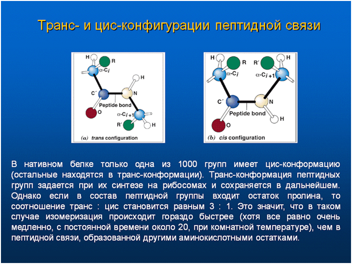 Цис конформация. Конформация пептидной связи.