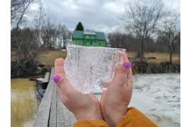 Весна. Природа оживает