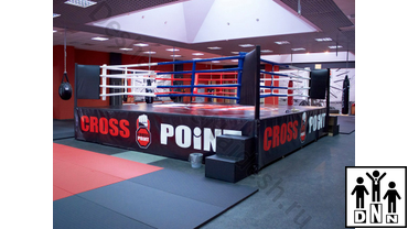 боксерский ринг 4 4