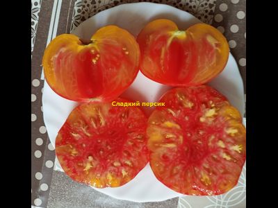 Томат Сладкий Персик (Sweet Peach, США)