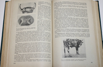 Эпизоотология. Под ред. проф. Р.Ф.Сосова. М.: Колос. 1974г.