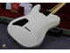Fender Jim Root Telecaster WH