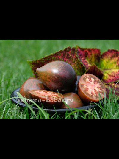 Томат Восставший Звездный Истребитель Прайм, 10 шт