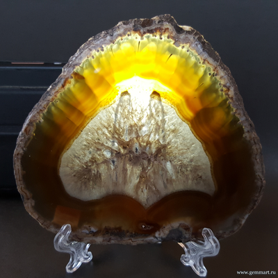 Агат — полированная пластина «Дерево» 104*91*4 мм