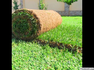 Рулонный газон Универсальный классический