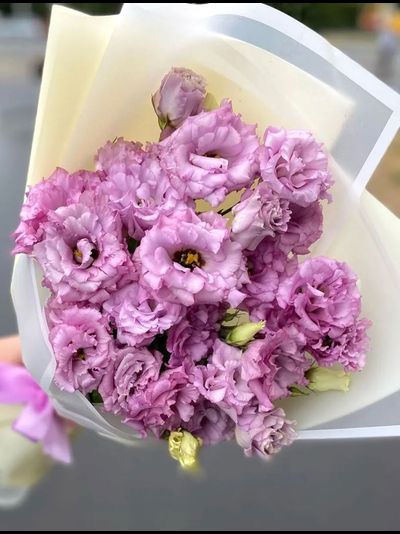 Букет махровых эустом (цвет на выбор)