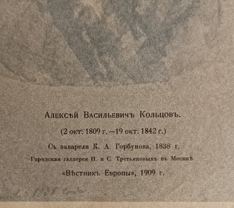 "Белинский В.Г." фототипия Астафьев И.А. / Дресслер А.Ф. 1910-е годы