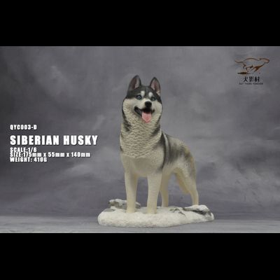 Сибирская хаски (серая) - Коллекционная ФИГУРКА 1/6 scale Husky (QYC003D) - QuanYingCun