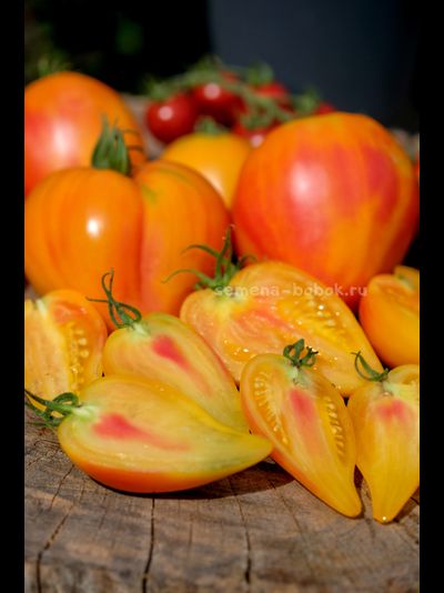Томат Апельсиновое Манго, 10 шт