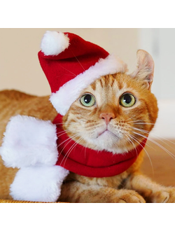 Новогодний колпак с шарфом для собак и кошек