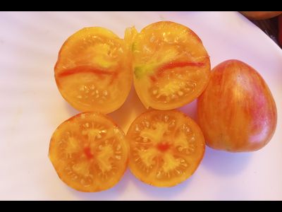 Томат Кровоточащее сердце (Bleeding Heart)